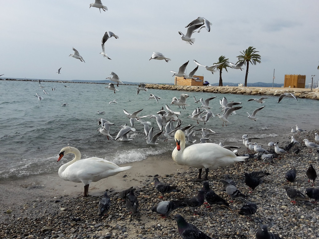 L'aquarium Naturel des Flots Bleus景点图片