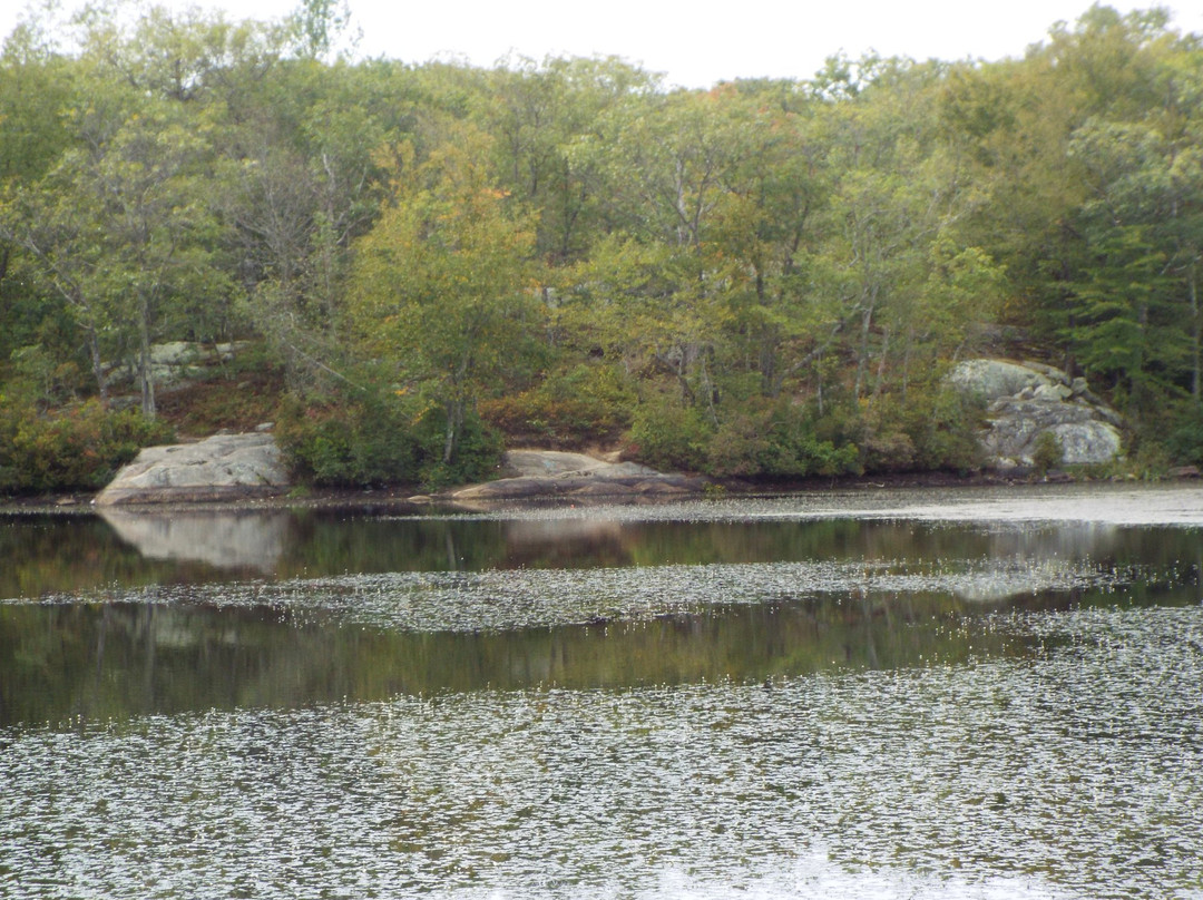 Ames Nowell State Park景点图片
