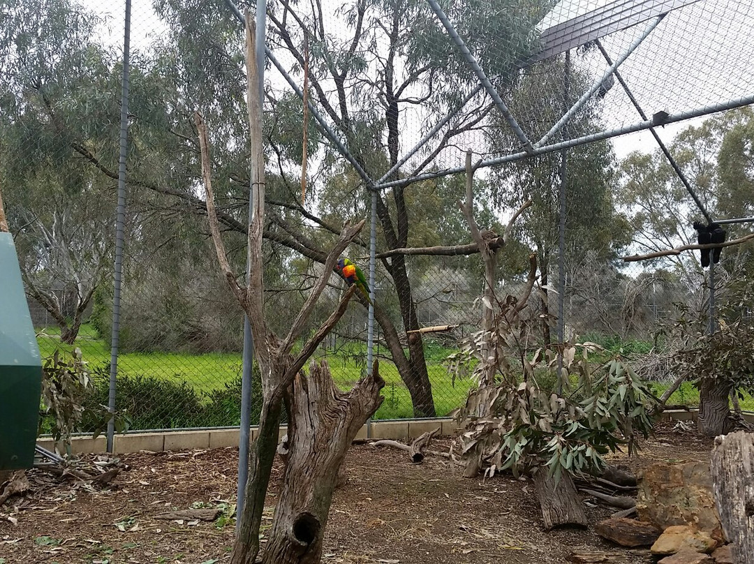 Kyabram旅游攻略图片