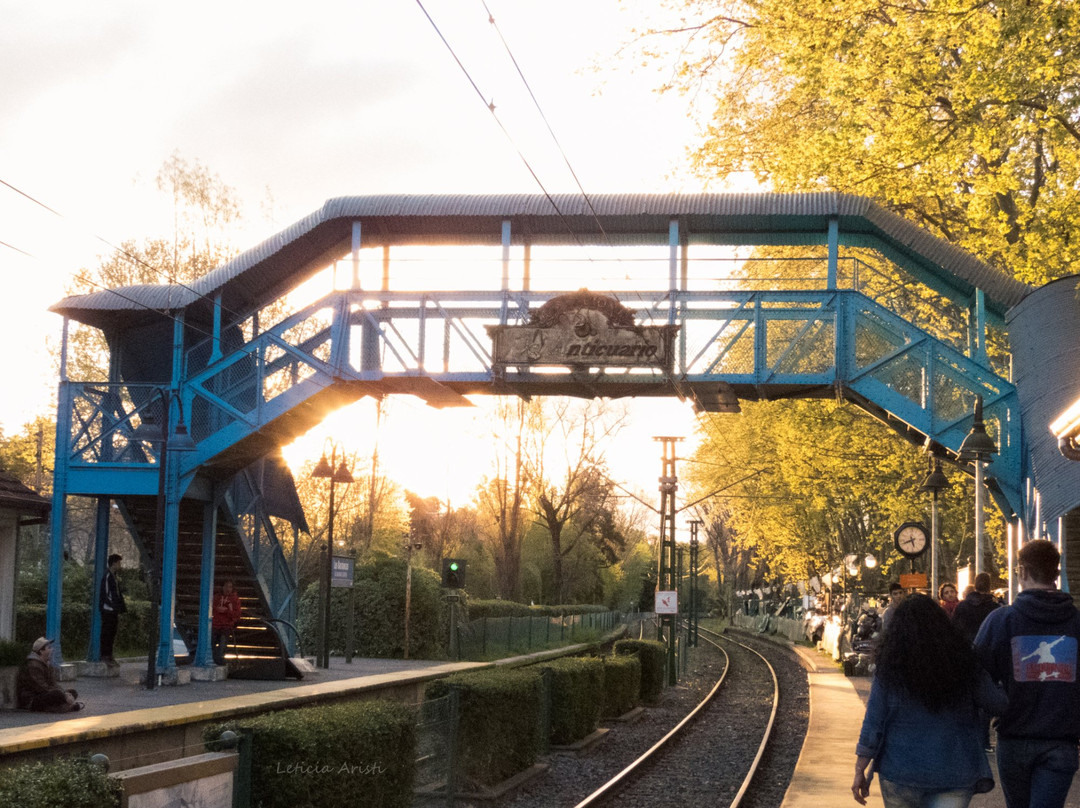 Tren de la Costa-Olivos必去景点