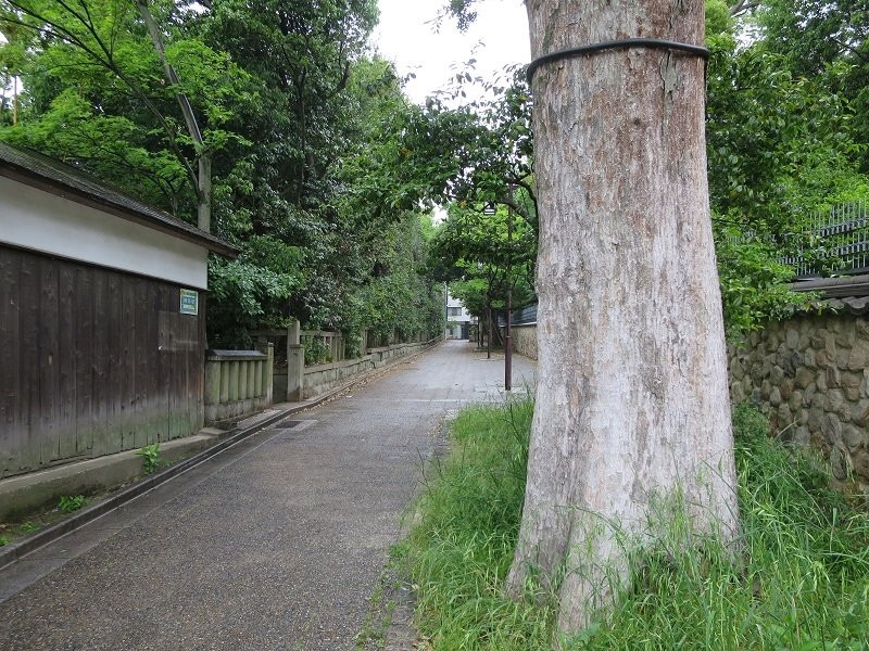 Kosetsu Museum of Art-神户市必去景点