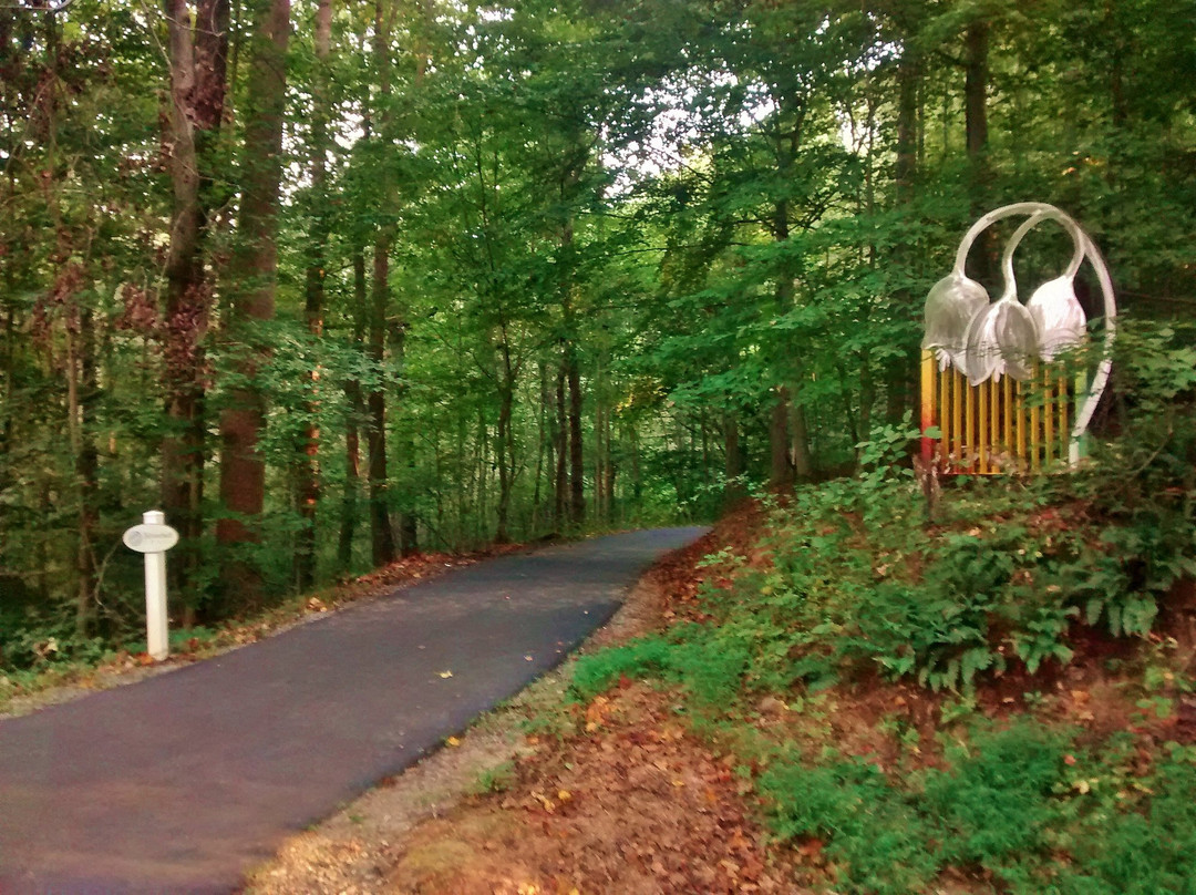 Dick & Willie Passage Rail Trail景点图片