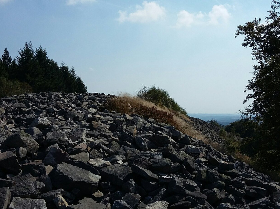 Hunnenring der keltische Ringwall-Nonnweiler必去景点