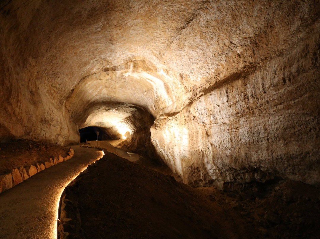 Mammoth Cave景点图片