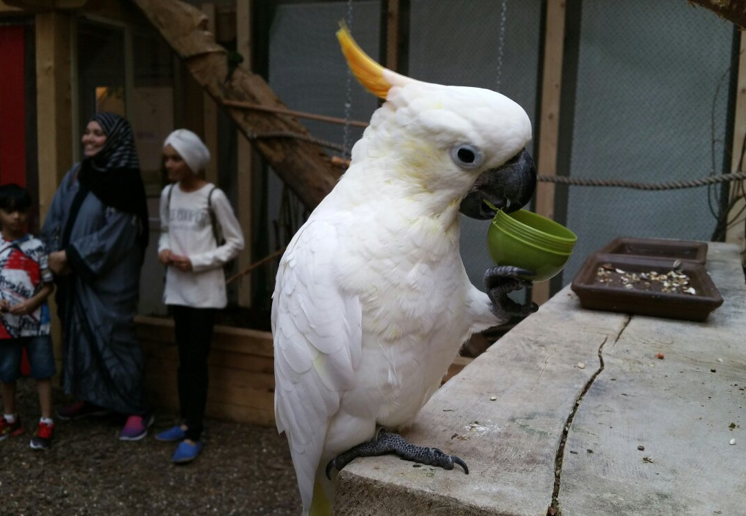Dschungelhaus in Tirol-Terfens必去景点