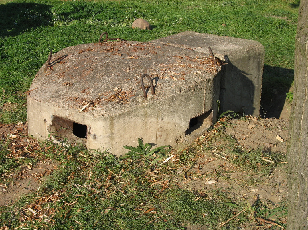 Fortress and Fortifications Museum景点图片