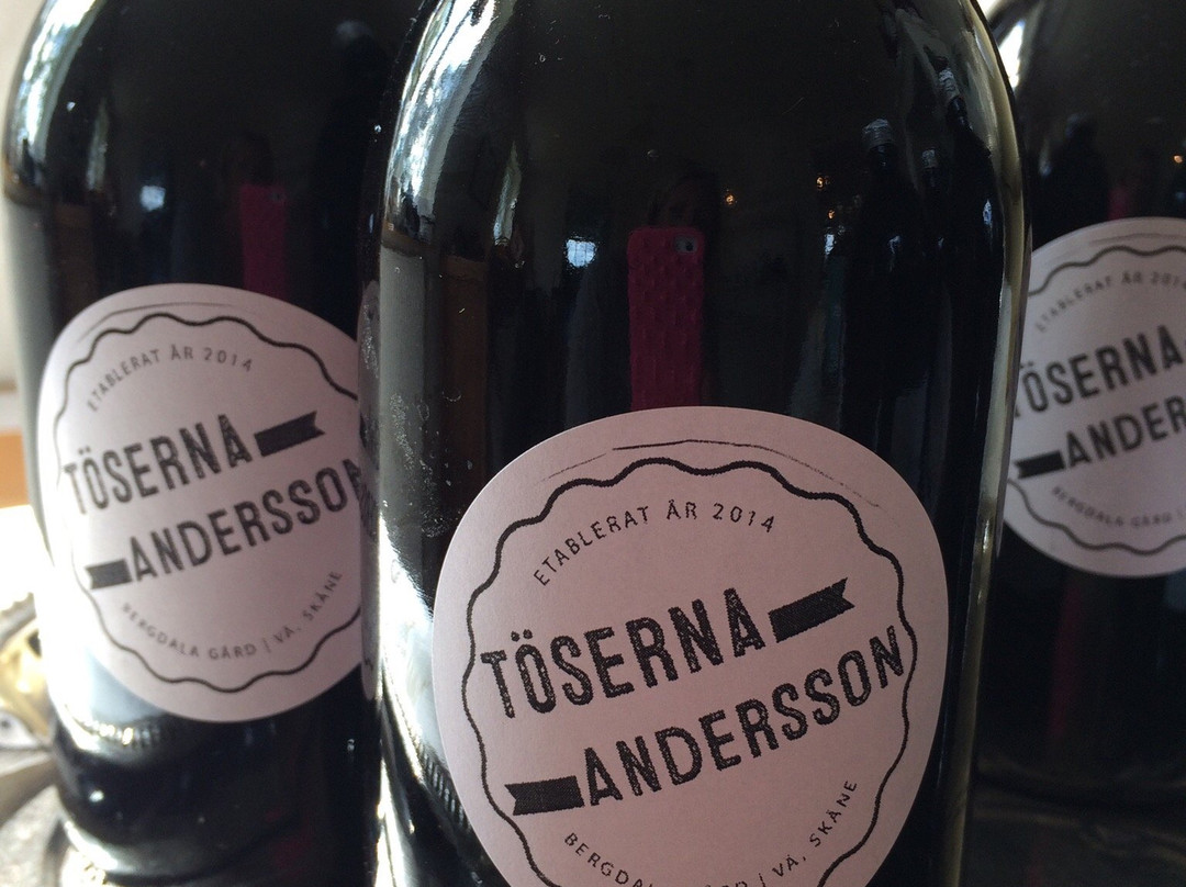 Everöd餐馆和美食-Toserna Andersson