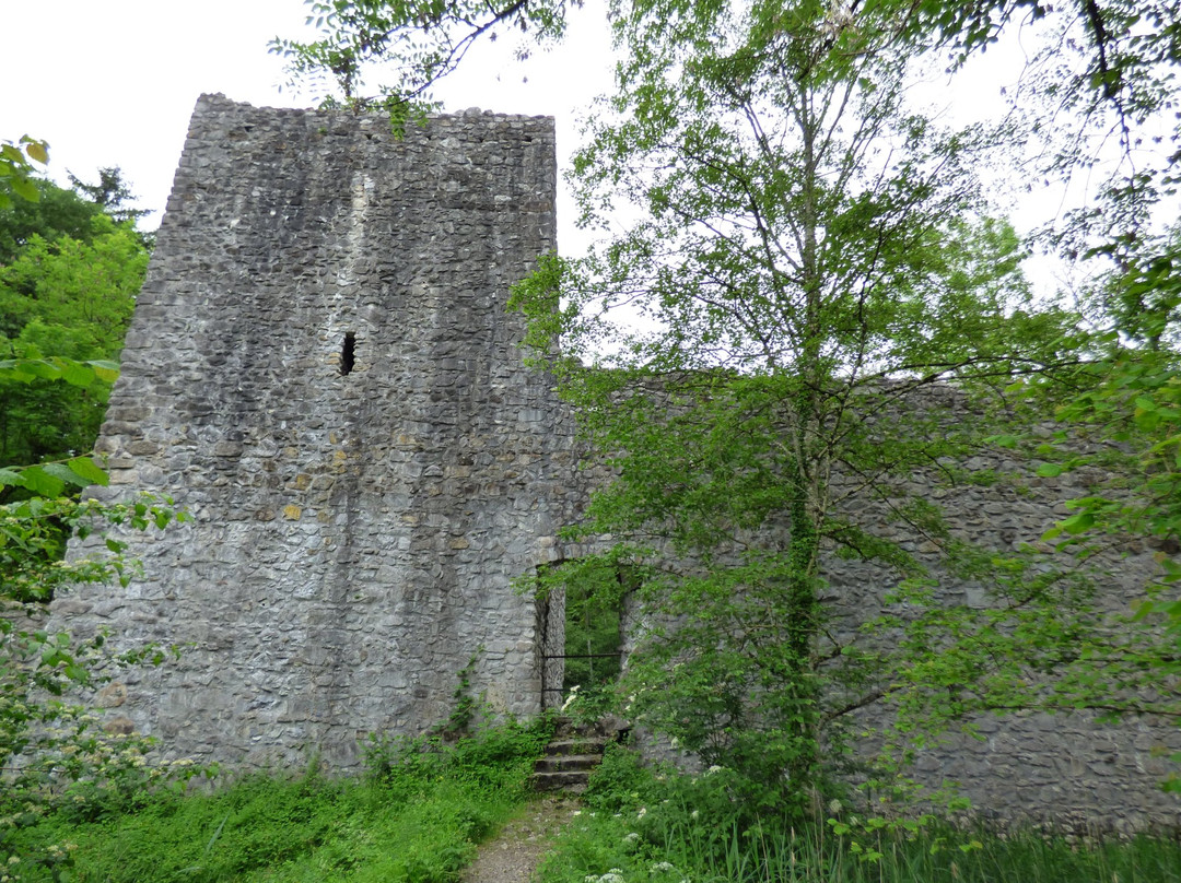 Weissenau Castle-下森必去景点