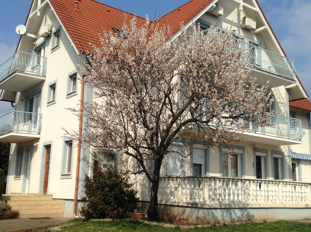 Hollik Apartments