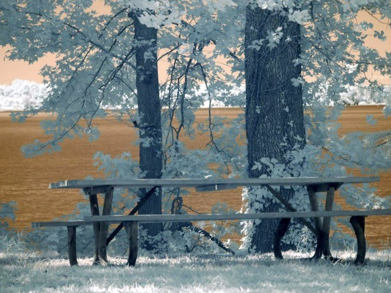 Sleepy Hole Park-Suffolk必去景点