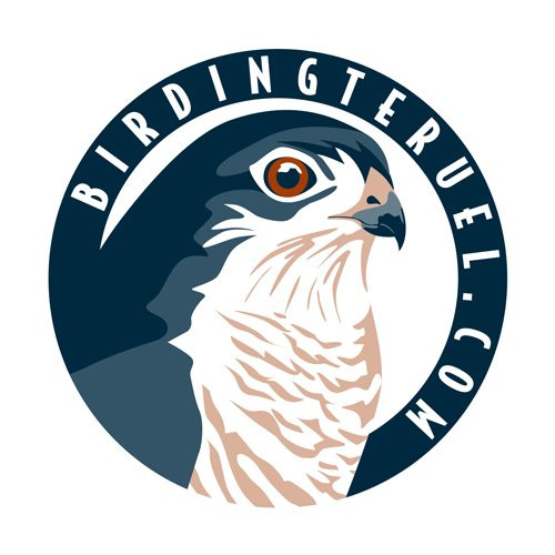 Birdingteruel-特鲁埃尔必去景点