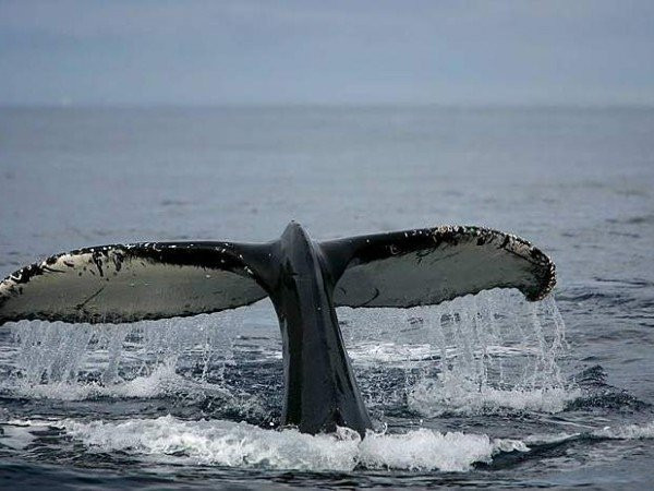 Sabura Center-萨尔雷必去景点