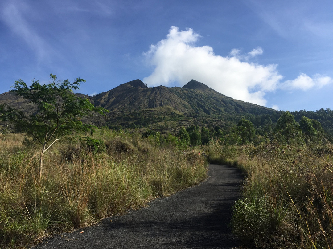 Bali Travel Organizer景点图片