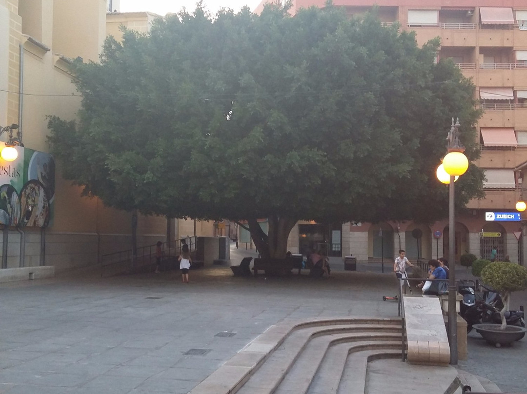 Parroquia De San Vicente Ferrer景点图片