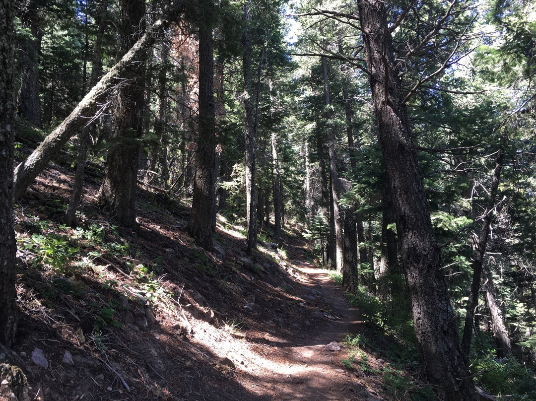 Pino Canyon-Tijeras必去景点