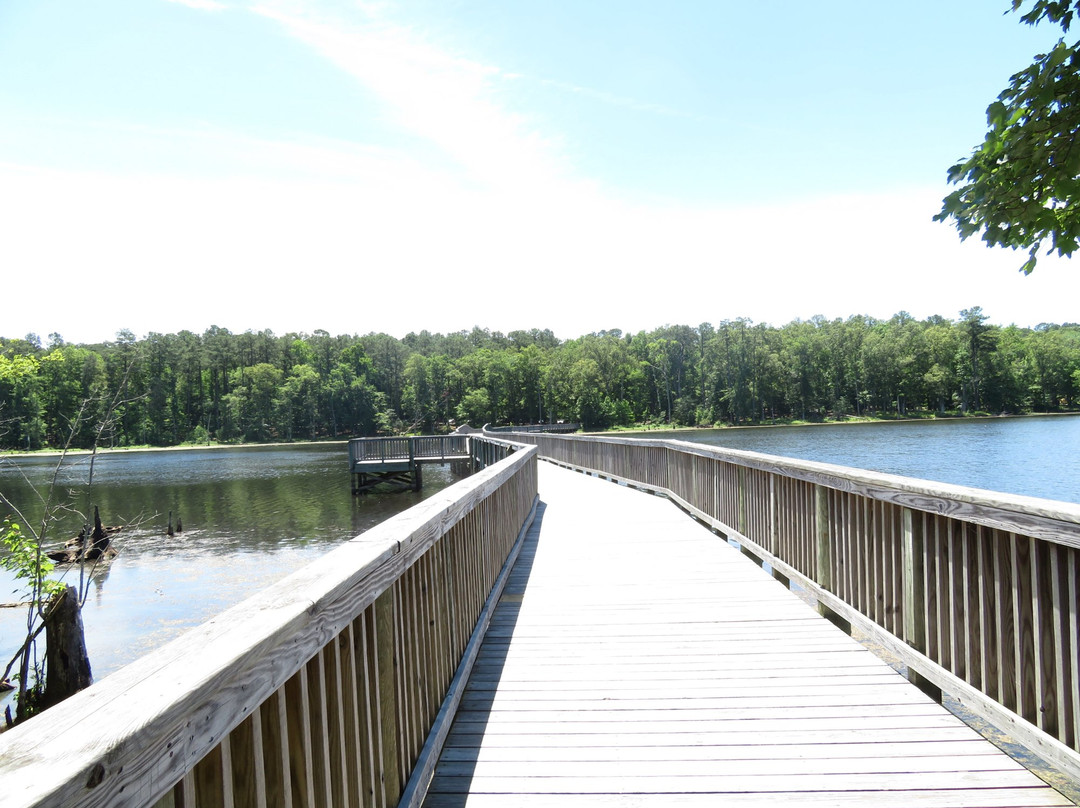 Newport News Park Campground