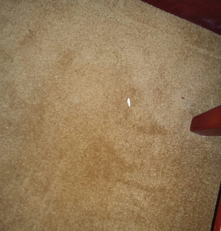 格林豪泰吉林世纪广场快捷酒店主图