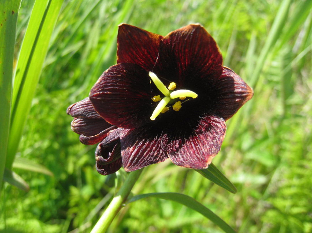 甘地路-滨中町必去景点