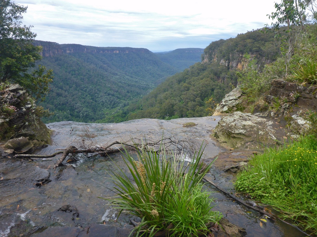 Twin Falls Lookout-Fitzroy Falls必去景点