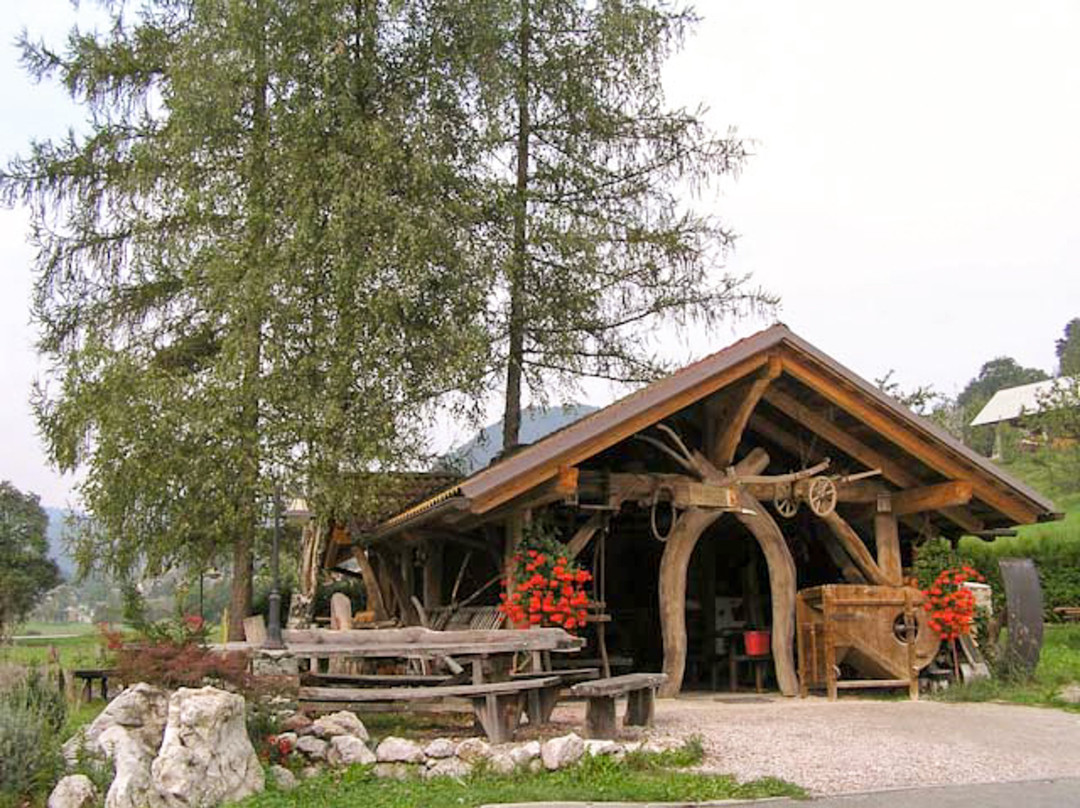 Hostel Robinson