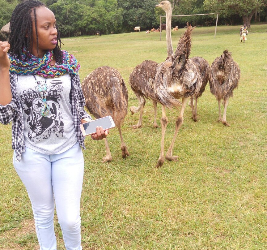 Kitale Nature Conservancy-Kitale必去景点