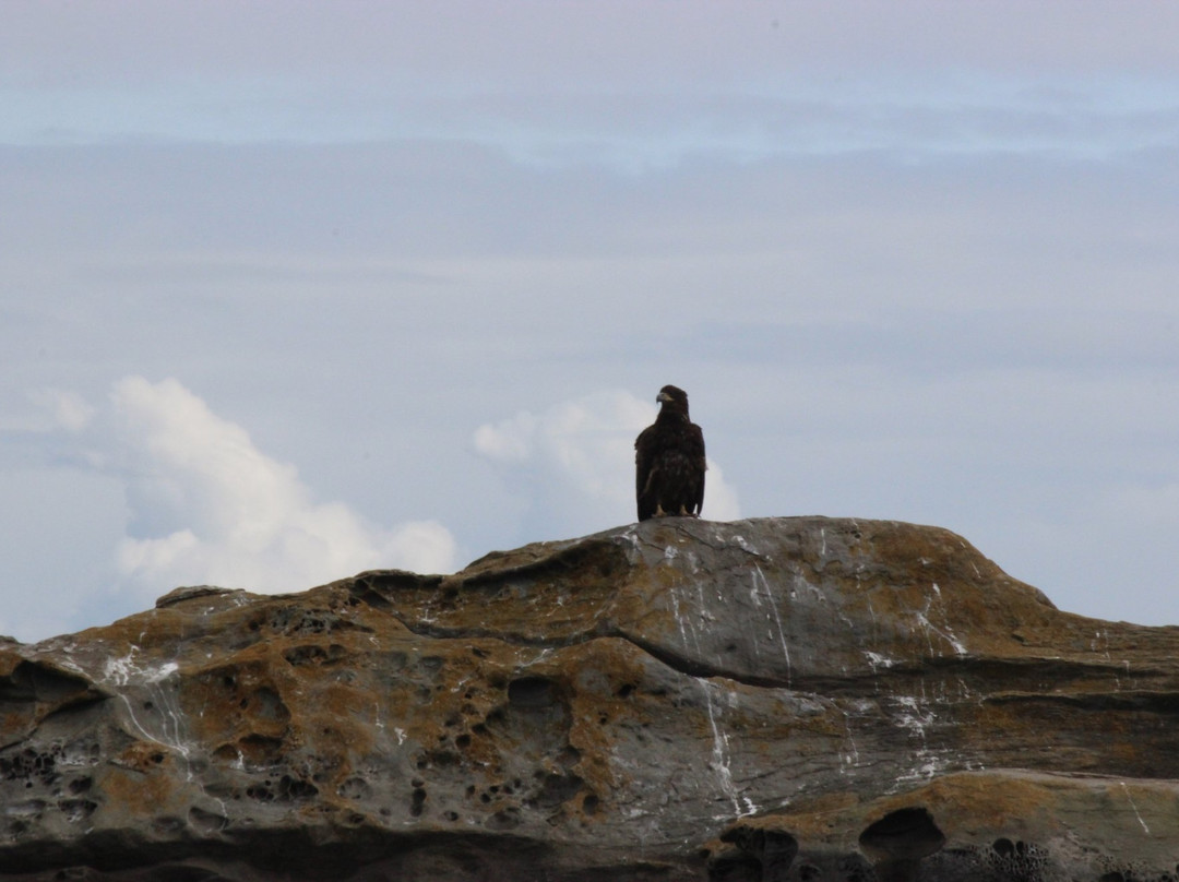 Mayne Inter Island Sea Tours-Mayne Island必去景点