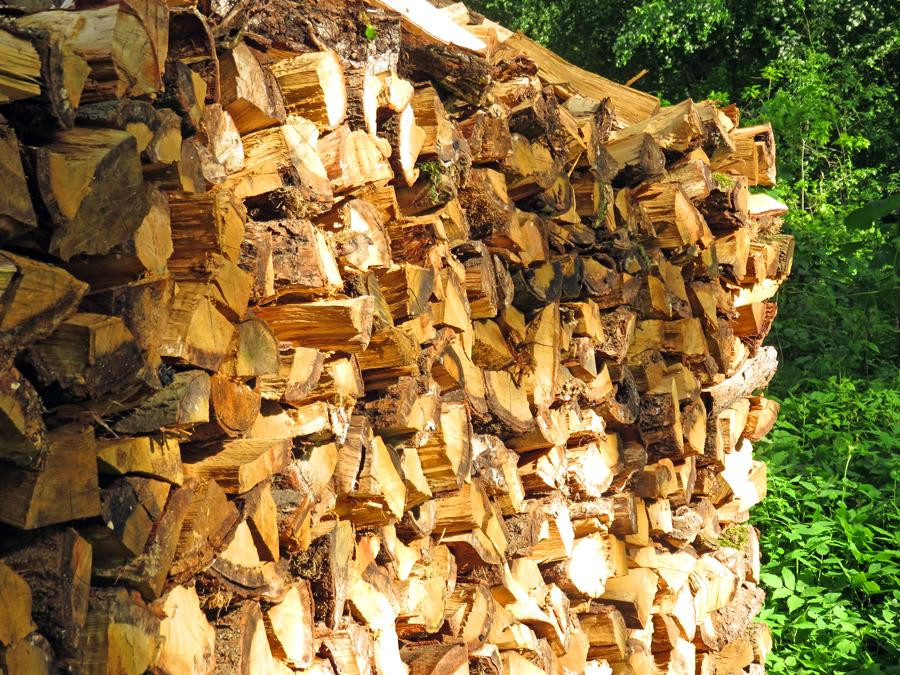 Land-gut-Hotel Waldesruh主图