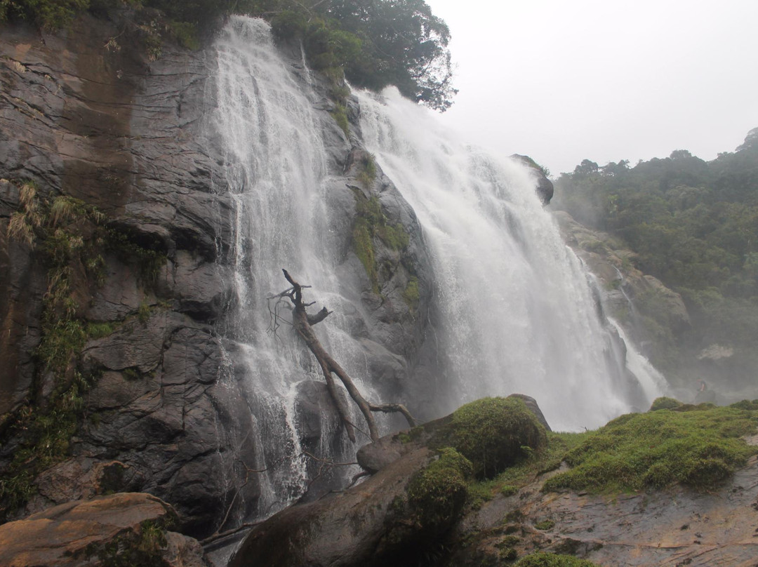 Cachoeira do Elefante-Biritiba-Mirim必去景点
