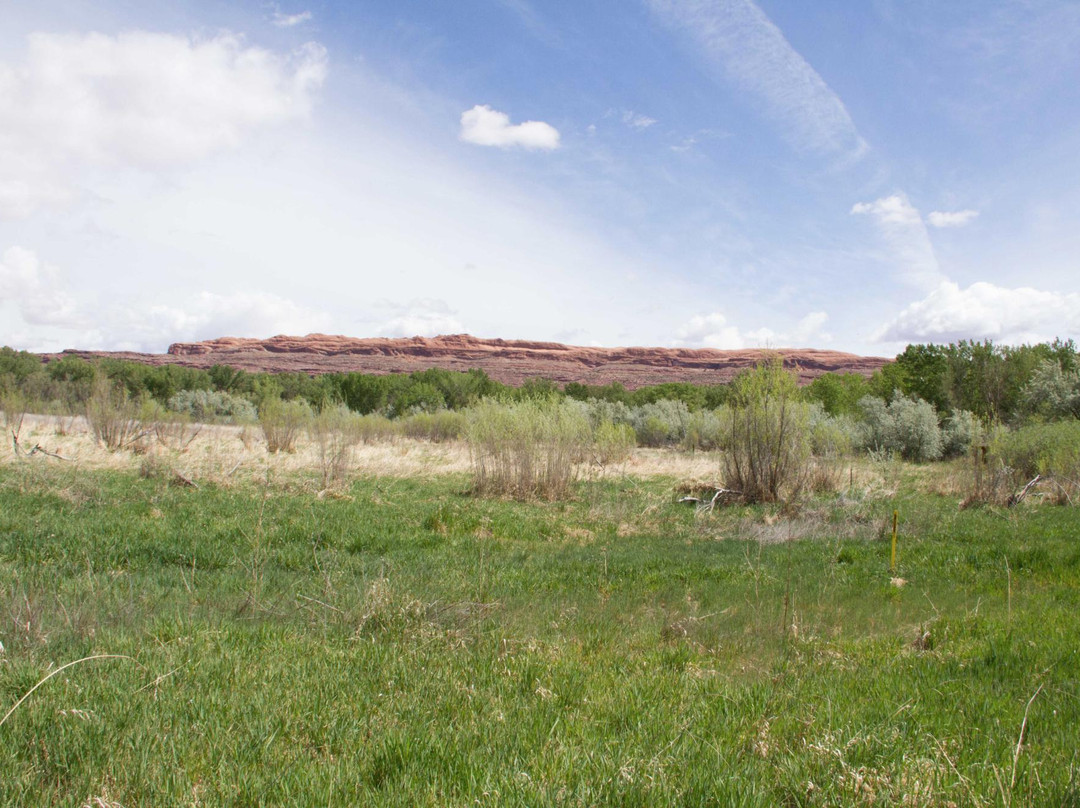 Scott Matheson Wetlands Preserve-莫阿布必去景点