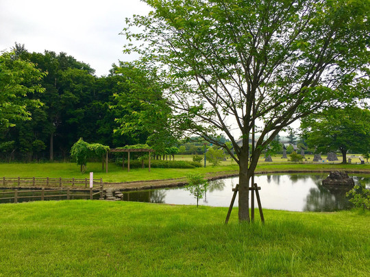 Yachiyo Green Village-八千代町必去景点