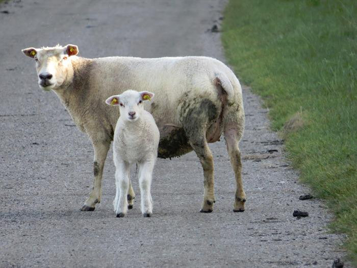 Mandoe Event-Mandoe必去景点