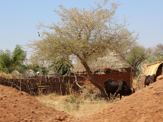 Koure Giraffe Reserve-Koure必去景点