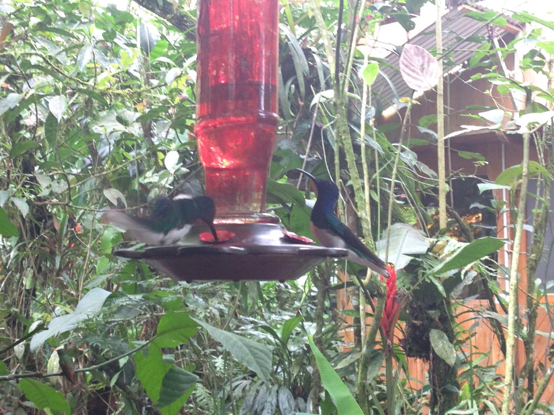 Rancho Esmeralda-明多必去景点