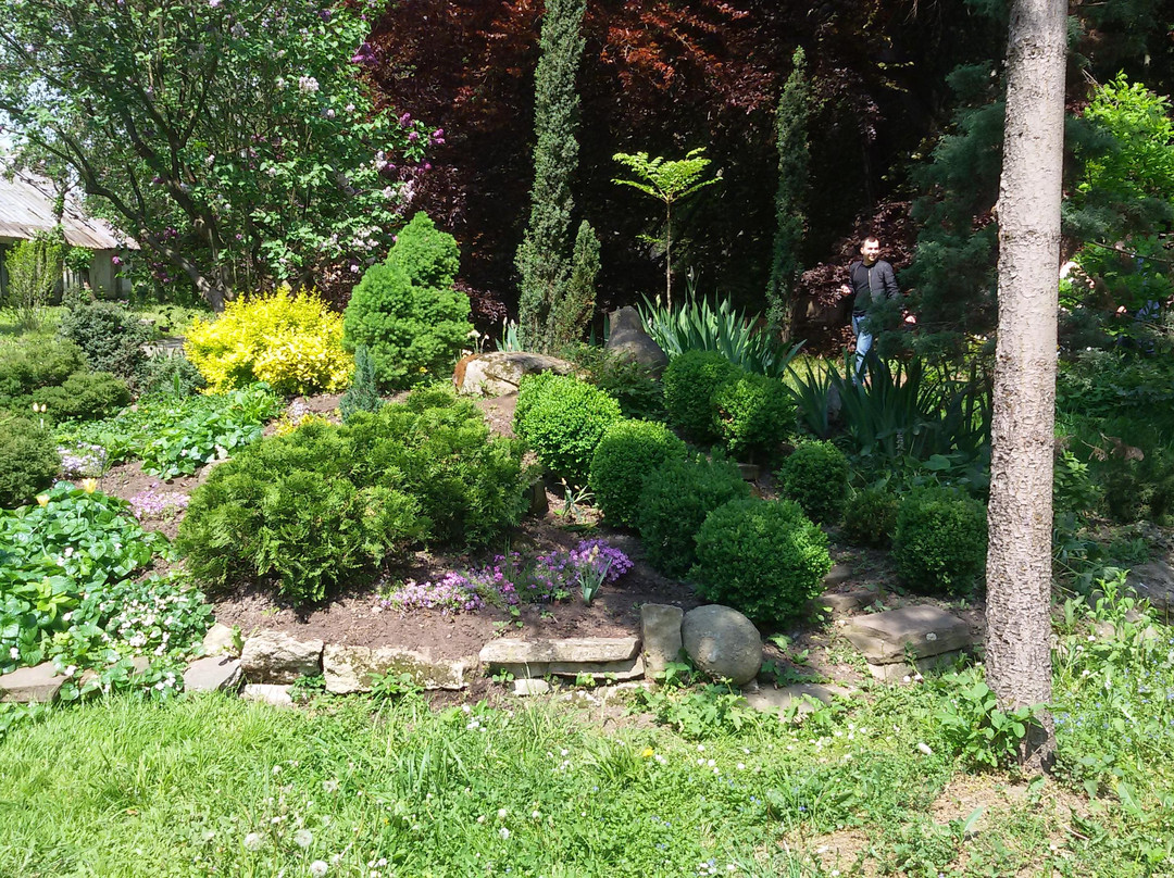 Chernivtsi National University Botanical Garden-Chernivtsi必去景点