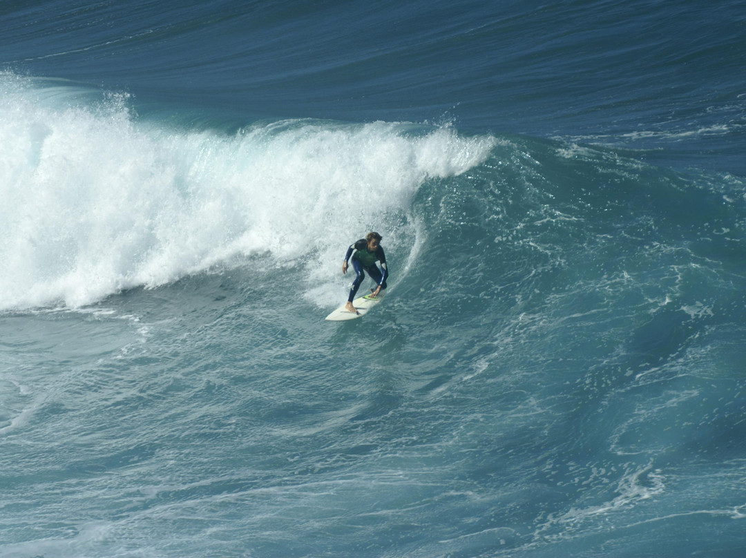 Ocadila Surf School-拉古纳的圣克里斯托波尔城必去景点