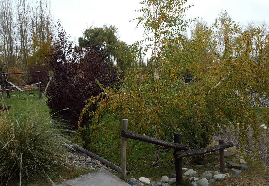 Rincón Sur Cabañas主图