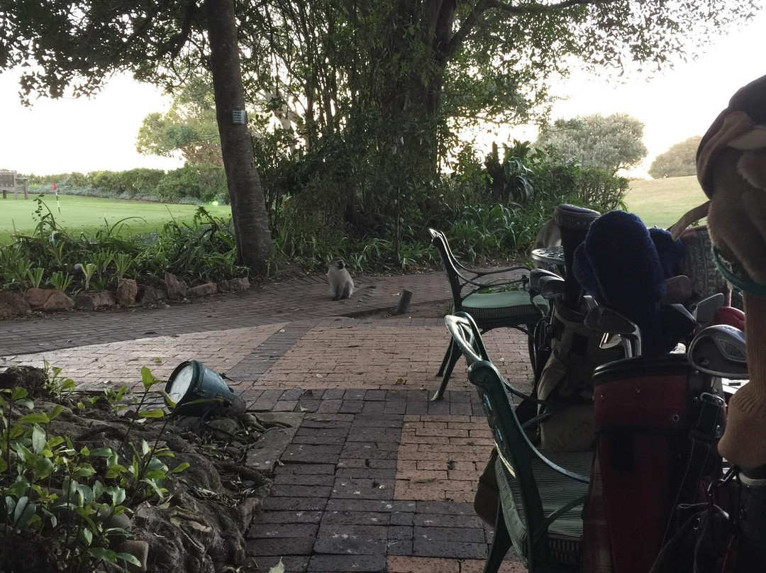 Fish River Sun Golf Course-艾尔弗雷德港必去景点