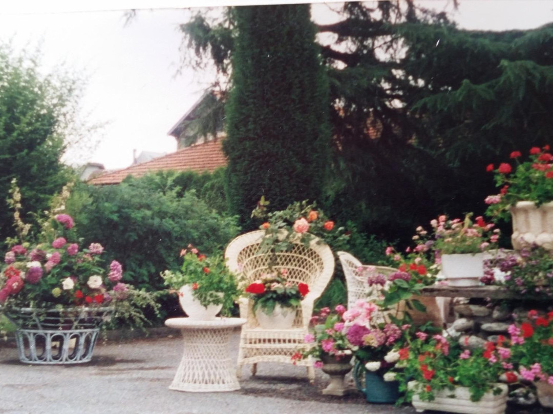 Hotel des Pyrenees主图
