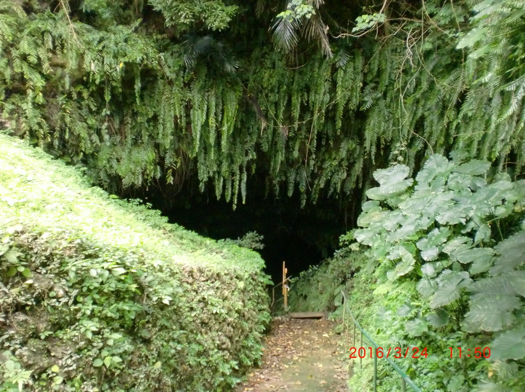 Sumiyoshi Kurago景点图片