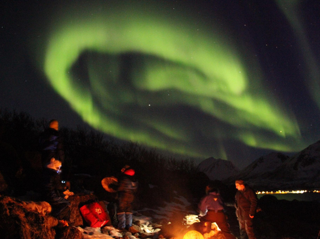 Wild Nordic Aurora Safari景点图片
