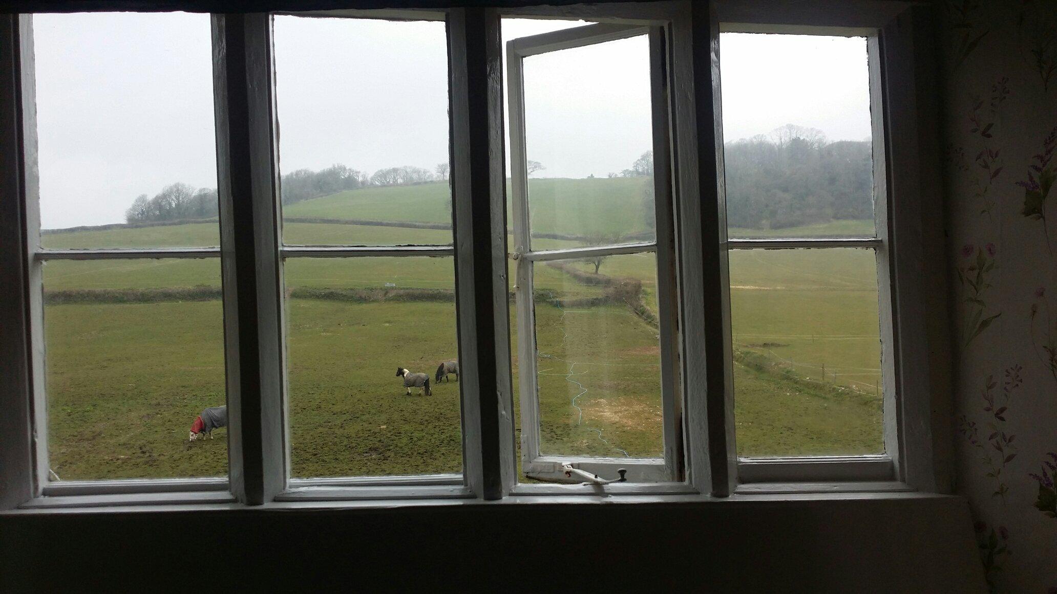 Higher Bruckland Farmhouse B&B-官方