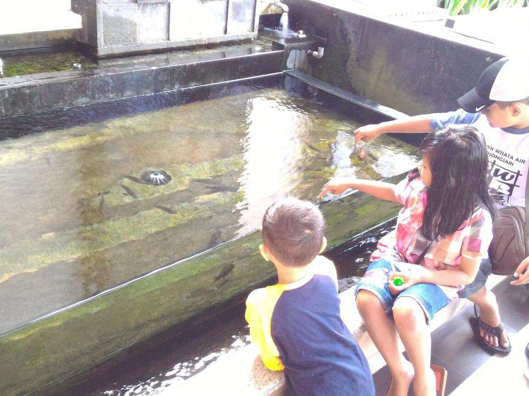 Puri Wisata Hotel主图