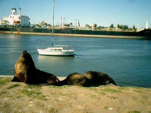 Bahia de Los Vientos-Quequen必去景点