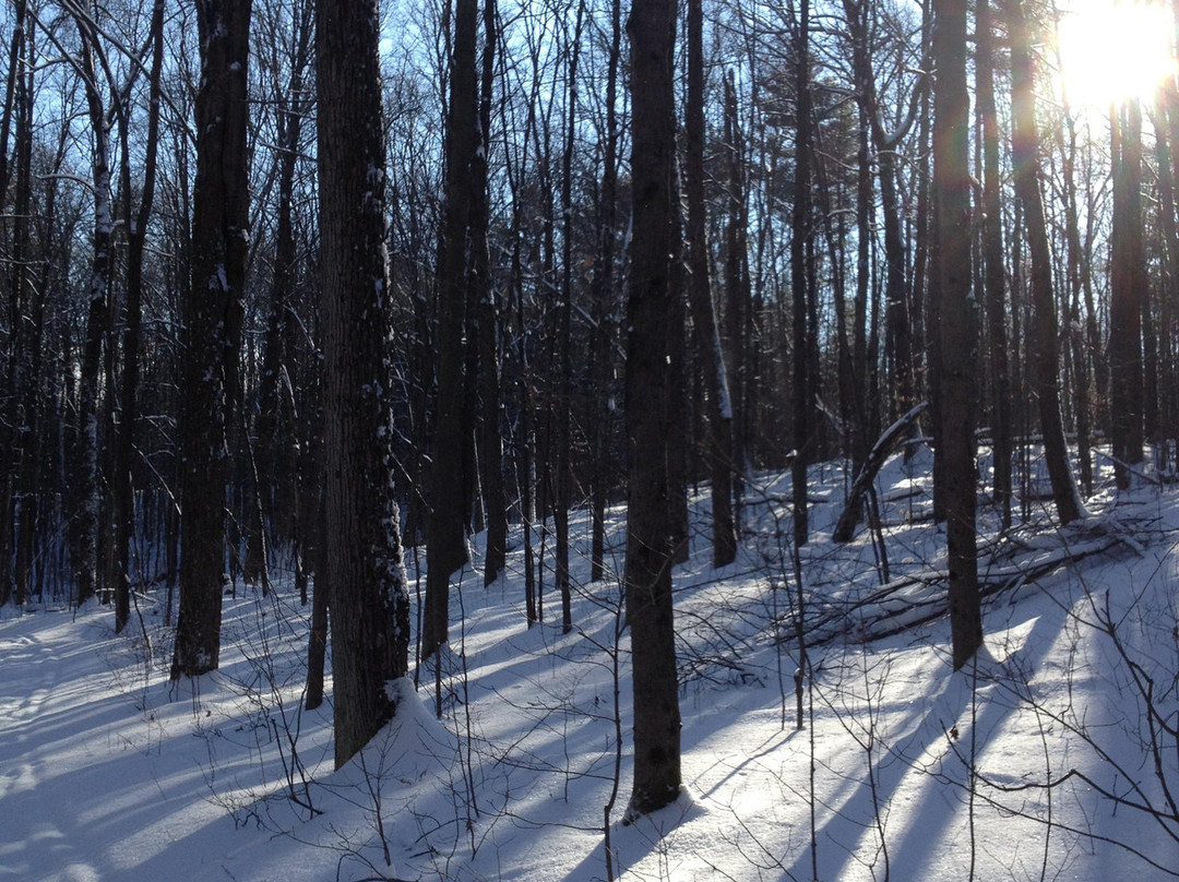 Ganaraska Forest-Campbellcroft必去景点