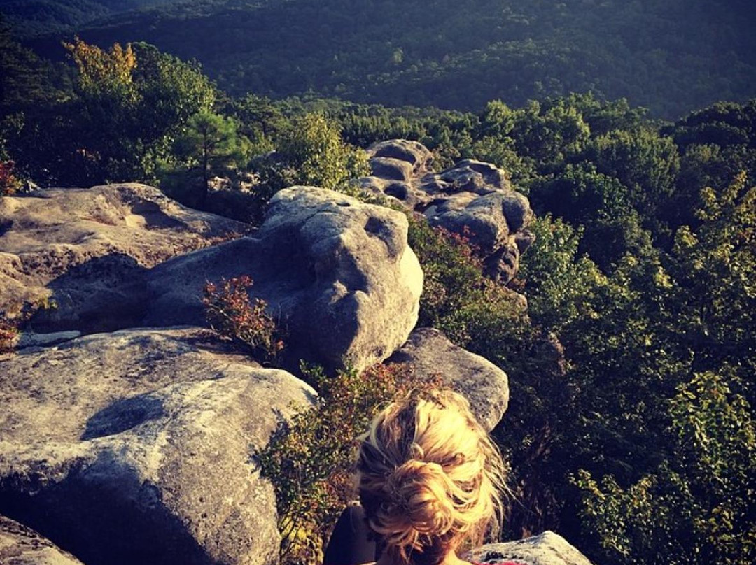 Clintwood旅游攻略图片