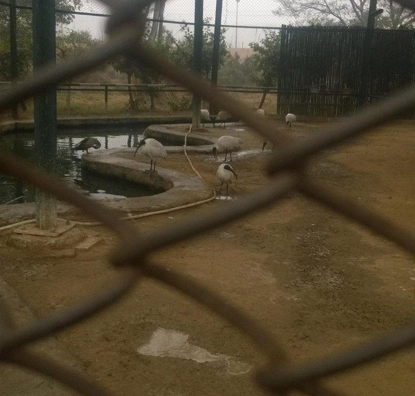 Tilyar Lake-Rohtak必去景点