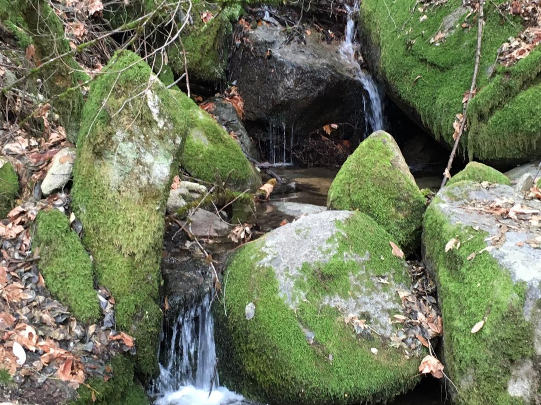 Brandy Creek Falls-Whiskeytown必去景点
