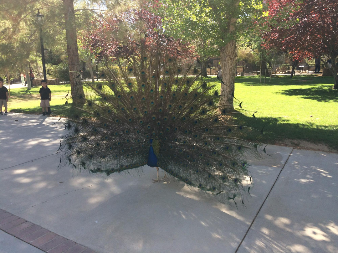 The Cat House-Rosamond必去景点