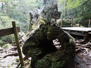Okinasugi景点图片