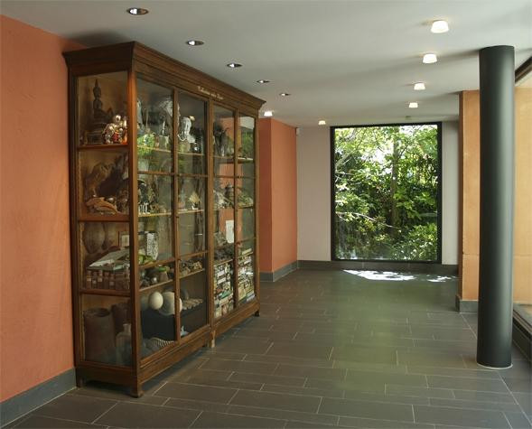 Musée Gassendi景点图片